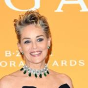 Sharon Stone adesso è anche pittrice