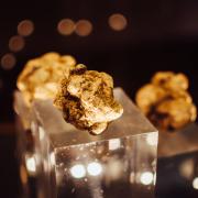 Sono questi i cibi più costosi della storia