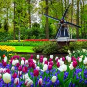 Le spettacolari foto del giardino olandese più bello del mondo, deserto