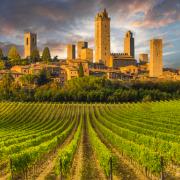 Vino e design: le cantine italiane dove la vendemmia diventa un'opera d'arte