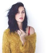 Katy Perry ha un ritorno di fiamma