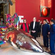 La mostra "Sharks and humanity"