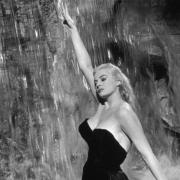 Omaggio ad Anita Ekberg