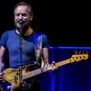 Sting, Ringo Starr, Bruce Springsteen: il video per sostenere i rifugiati
