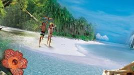 Scopri la Malesia, dove la cultura ti abbraccia e ti fa sentire a casa Scopri la Malesia, dove la cultura ti abbraccia e ti fa sentire a casa