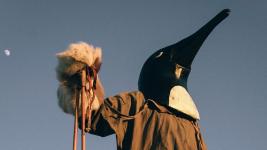 Penguin Cafe: il nuovo album Handfuls of Night Penguin Cafe: il nuovo album Handfuls of Night