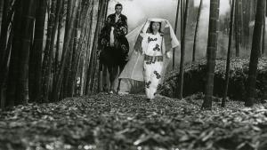 Mostra del Cinema di Venezia: i film premiati con il Leone d’Oro
Mostra del Cinema di Venezia: i film premiati con il Leone d’Oro