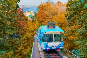 Foliage: ecco le città dove ammirarlo a bordo di  tram storici  