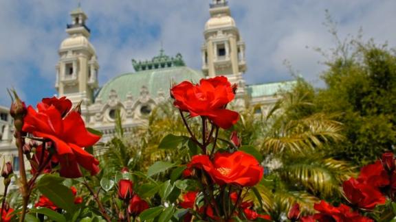 Concorso Internazionale di Bouquet 