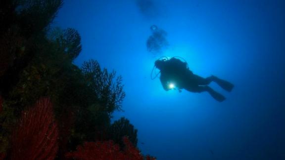 Alla scoperta delle bellezze del mare con il Concorso di Fotografia Sottomarina