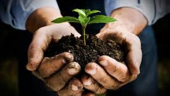 Si chiama Rural Hub ed aiuta gli startupper innovatori della terra