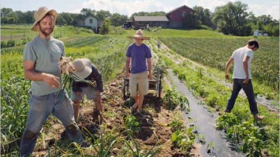 Agricoltura, il futuro occupazionale dell'Italia