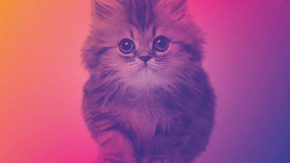 ELISABruciare per te