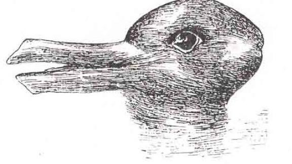 Quello che vedi in questa immagine dice molto della tua personalità