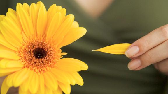 Il "petaloso" arriva nella moda 