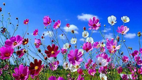 Equinozio di primavera 2016: perché è oggi?