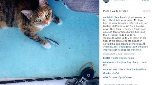 Liz Clark gira in barca a vela insieme al gatto