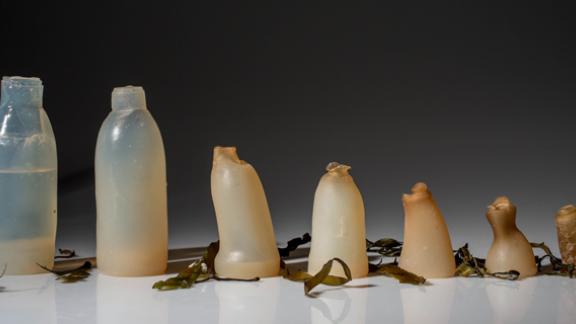 Mai più bottiglie di plastica