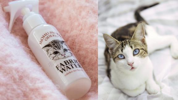 Inventato in Giappone lo spray al profumo di gatto