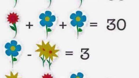 Il problema di matematica elementare che fa impazzire il web