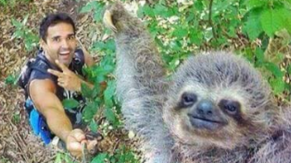 Selfie con il bradipo più felice del mondo