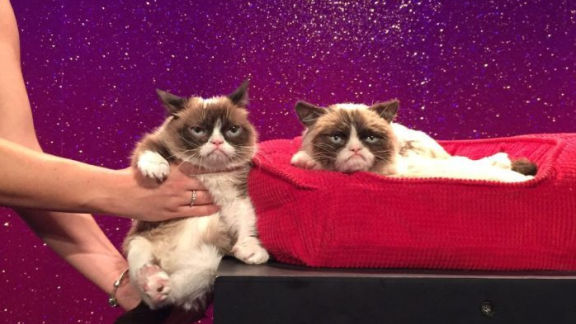 Grumpy Cat in cera al museo Madame Tussauds