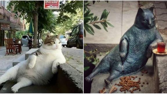 Una statua per onorare il gatto più famoso di Istanbul e del web
