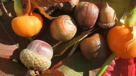 L'autunno