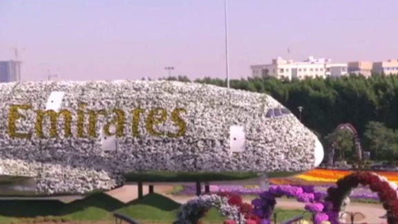 L'aereo floreale degli Emirati entra nel Guinnes