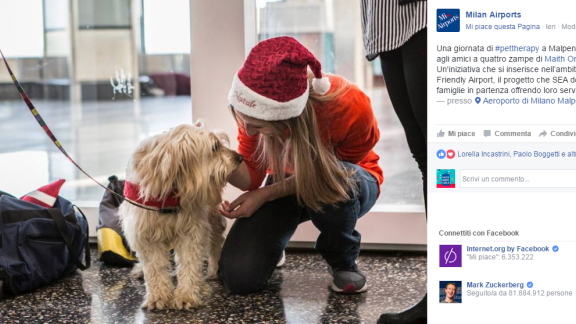 Pet Therapy a Malpensa contro l'ansia da volo