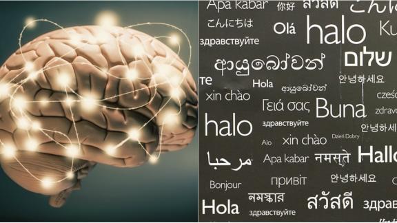 Imparare una nuova lingua ha vantaggi sorprendenti. Ecco quali