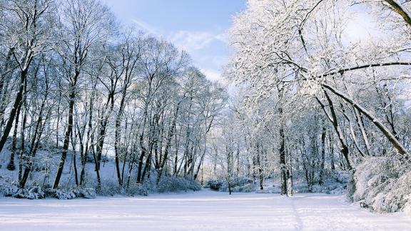 La neve cura