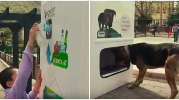 I distributori automatici per randagi. Per riciclare aiutando