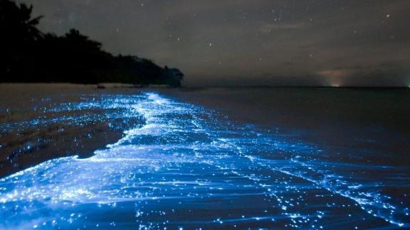 La spiaggia di Vaadhoo si illumina di notte. Le origini di questo spettacolo naturale