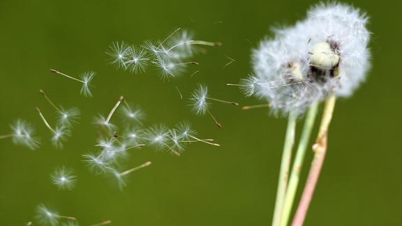 Antistaminici: istruzioni per l’uso
