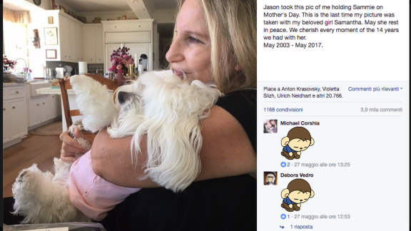Il dolore di Barbra Streisand per la scomparsa di Samantha