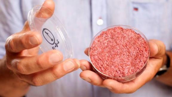 Sarà la carne sintetica il futuro della nostra alimentazione?