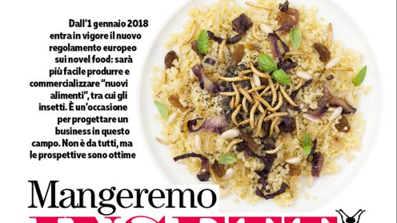 Mangiare gli insetti? E' un business!