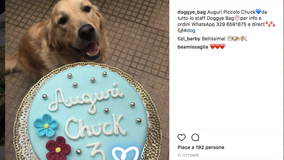 Arriva la prima pasticceria per cani