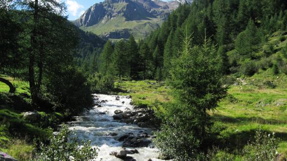 Ecco i viaggi in Italia... consigliati dalle stelle!