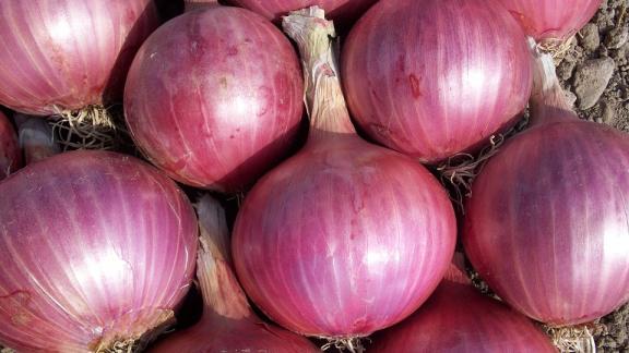 Disintossicati con le cipolle 