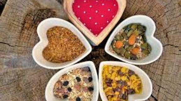 Perché i batteri intestinali sono così importanti?