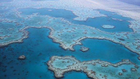 La Grande Barriera Corallina sta morendo: colpa del riscaldamento globale