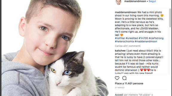 Due occhi di colore diverso, un micio e dei bulli. Una storia a lieto fine