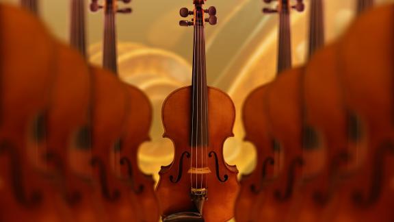 Oggi è la Giornata Mondiale del Violino