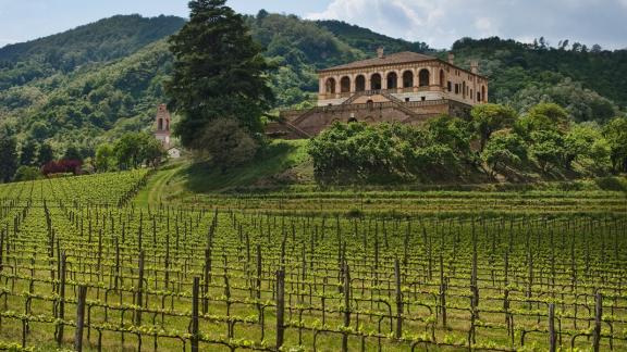 Oltre il paesaggio a Villa dei Vescovi