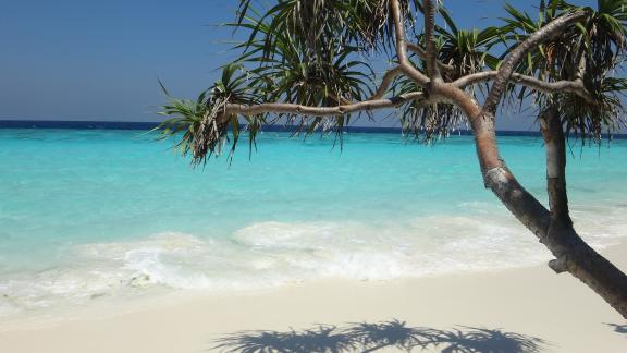 Alle Maldive si cerca un librario per una biblioteca... sulla spiaggia!