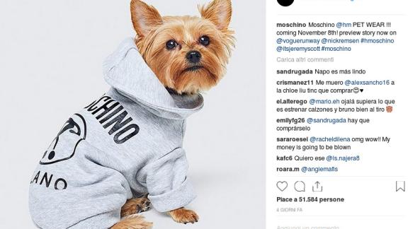 Moschino lancia la nuova collezione… per cani!