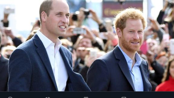 I principi William e Harry raccolgono rifiuti: «È perfettamente normale, lo fanno tutti»