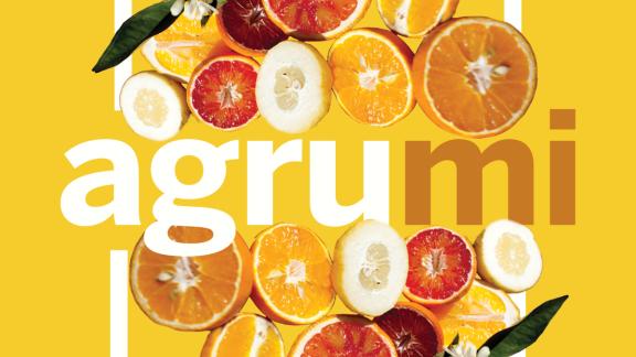 AgruMI: torna a Villa Necchi Campiglio la mostra mercato dedicata ai frutti emblema del Mediterraneo